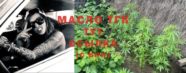 молекула духа Инсар