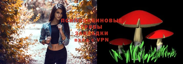 молекула духа Инсар